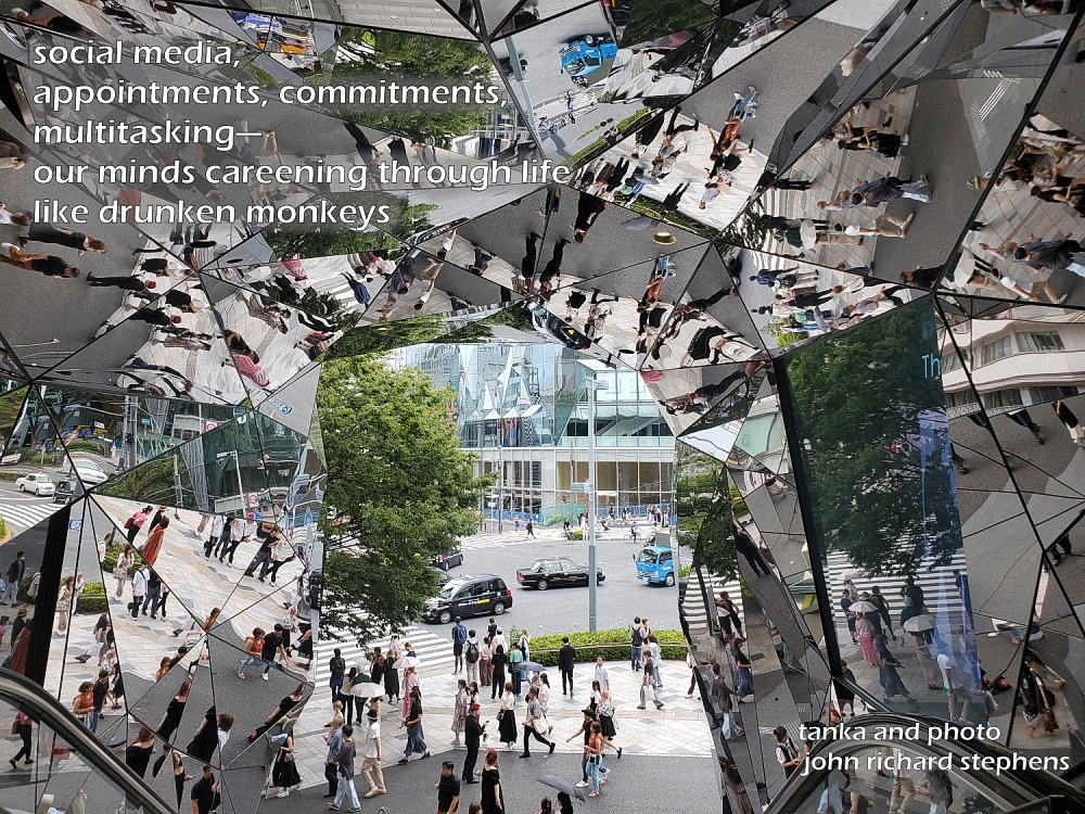 A photo haiku with a picture of street scene surrounded by many angled mirrors, giving it a fractured look.