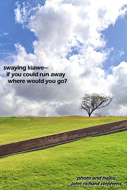 A photo haiku with a picture of  windswept tree on the top of a green hill with dramatic clouds behind.