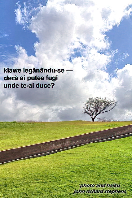 A photo haiku with a picture of windswept tree on the top of a green hill with dramatic clouds behind.