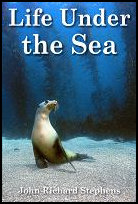 Life
                Under the Sea title=